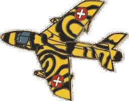 Bild von Hawker Hunter in den Tiger Farben 